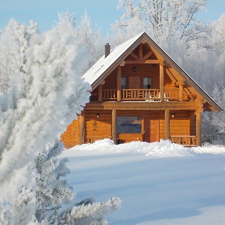 Guest House Kalnini Kārļi エクステリア 写真