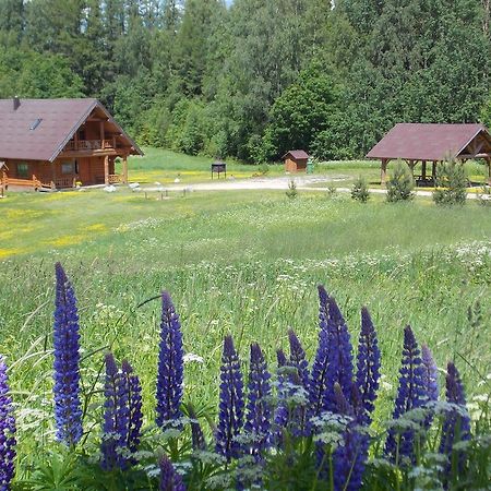 Guest House Kalnini Kārļi エクステリア 写真