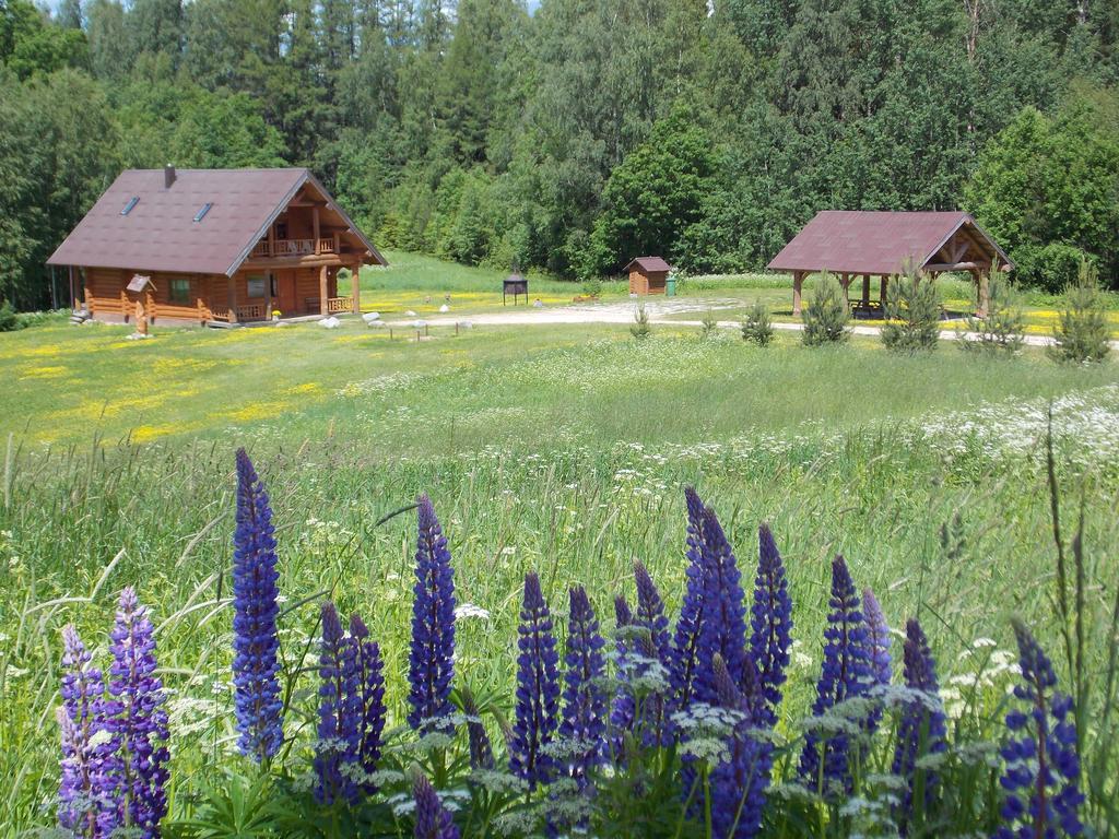 Guest House Kalnini Kārļi エクステリア 写真