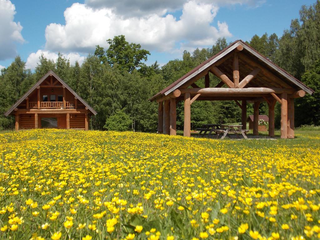 Guest House Kalnini Kārļi エクステリア 写真